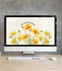 Desktop Wallpapers!
